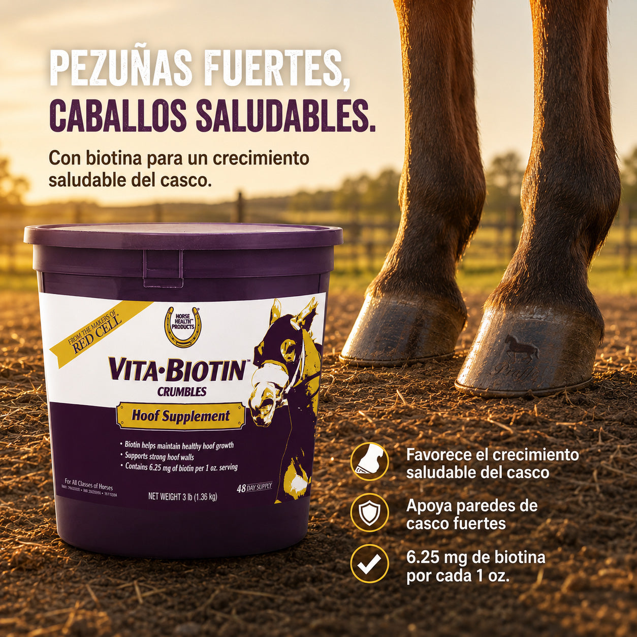 Vita-Biotin