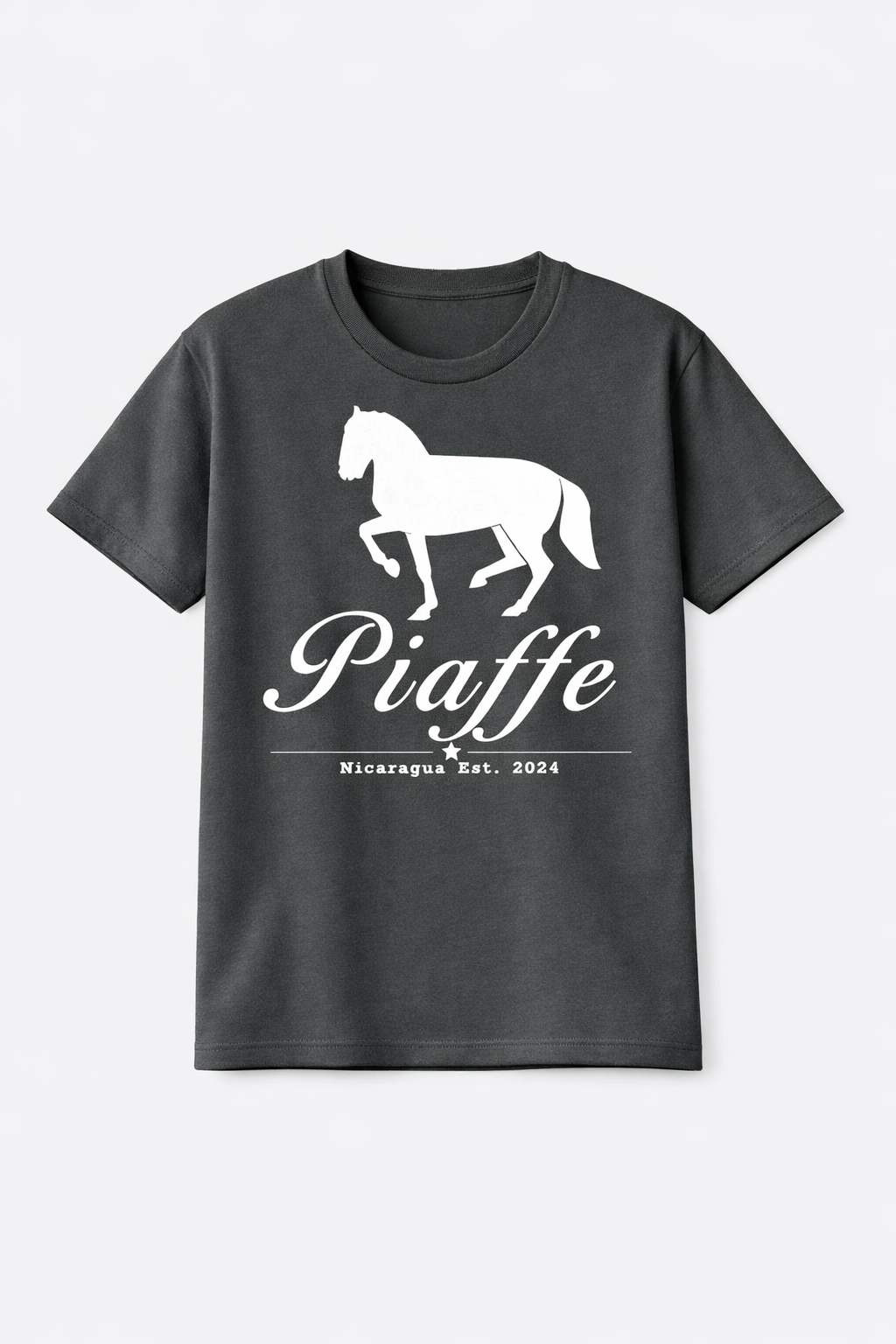 Camiseta Gris