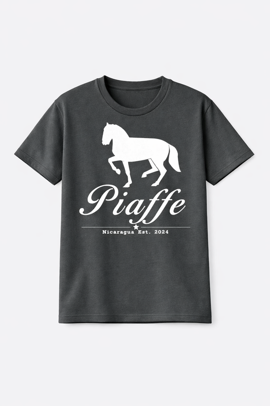 Camiseta Gris