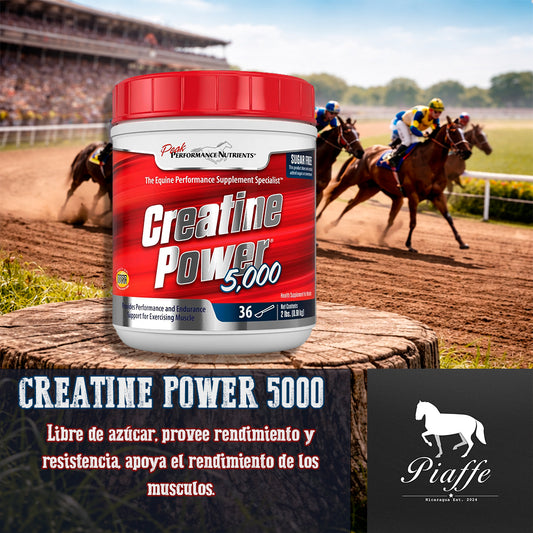 Creatine Power 5000