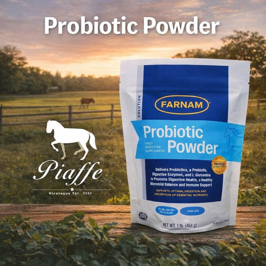 Probiotic Powder