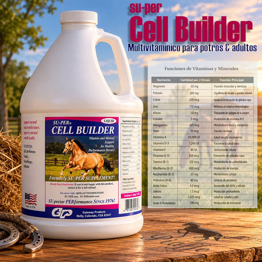 Super-Cell Builder